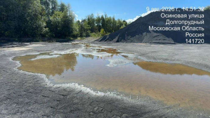 Страшные находки экологов в пробах воды из Клязьминского водохранилища